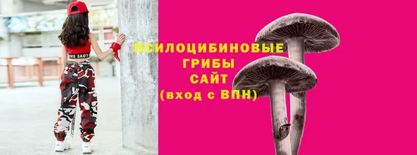 гидра Наволоки