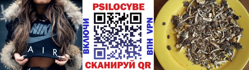 Псилоцибиновые грибы мухоморы  kraken зеркало  Партизанск 