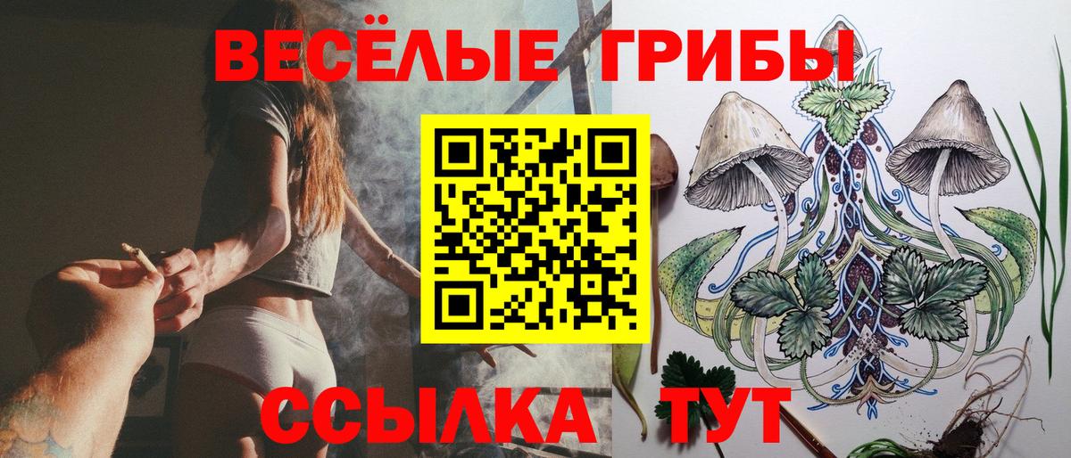 Галлюциногенные грибы Psilocybine cubensis  Вход с VPN  Галлюциногенные грибы мицелий  Партизанск 