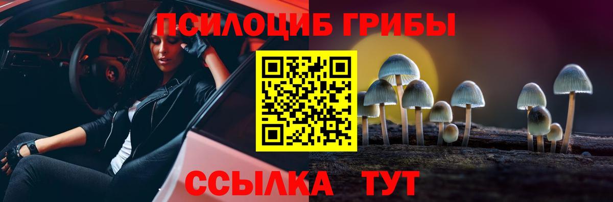 Псилоцибиновые грибы ЛСД Партизанск