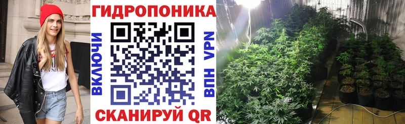 Шишки марихуана сатива  Партизанск 